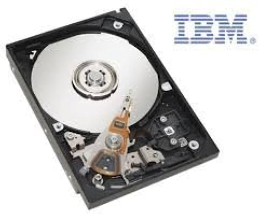 Amazon.com: IBM 42D0637 - 300GB 2.5